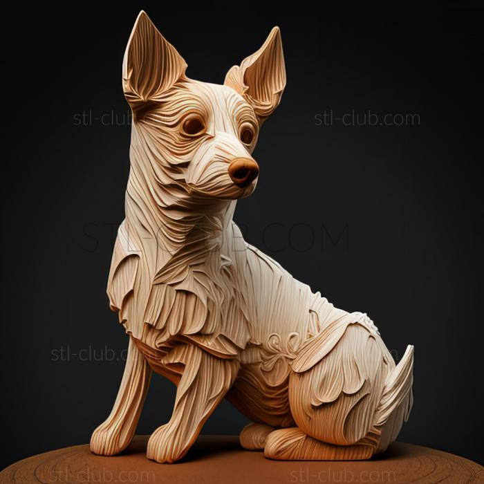 st Japanese Terrier dog